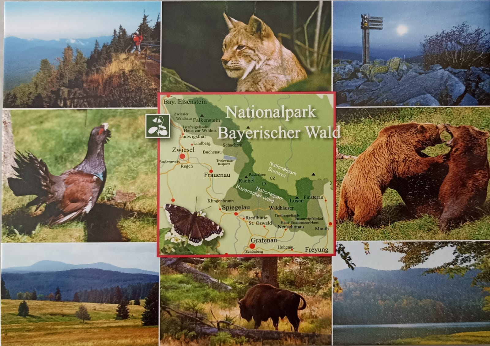 Karte - 2 -Postkarte Nationalpark